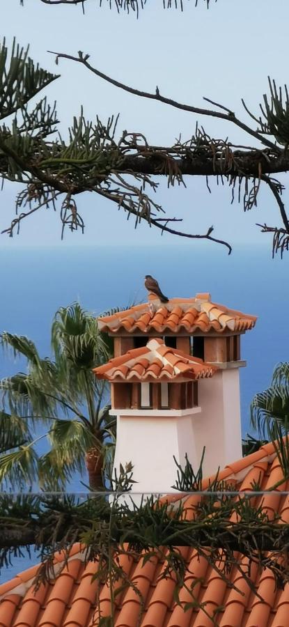 タサコルテ Casa Moja - La Palmaヴィラ エクステリア 写真